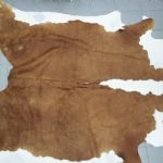 998 5239 COW HIDE